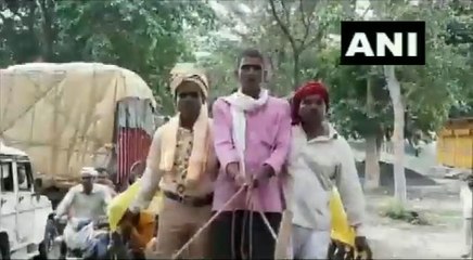 देसी स्टाइल में बैलगाड़ी पर दूल्हे ने निकाली बारात, लोगों को दिखाना था- पूर्वज कैसे करते थे शादी