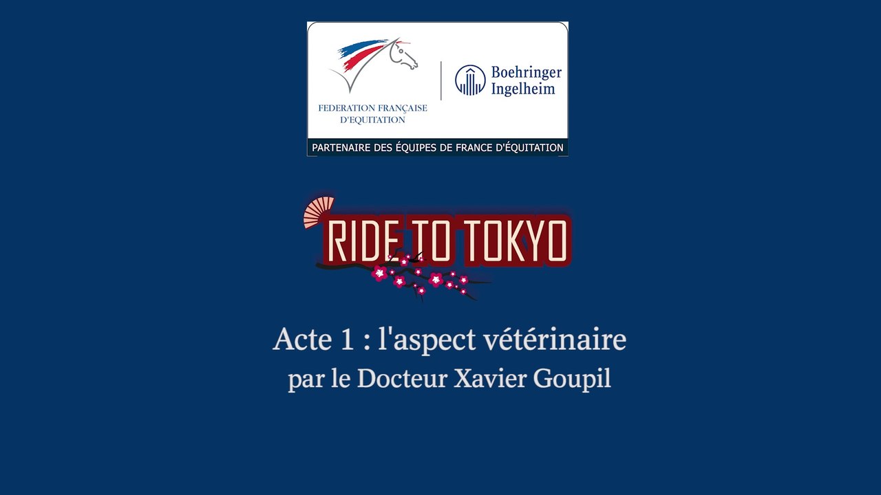 Acte 1 : l'aspect vétérinaire par le Docteur Xavier Goupil