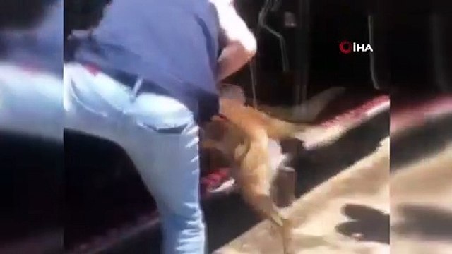 Bizans, Roma ve Ortaçağ dönemine ait tarihi eserler ele geçirildi