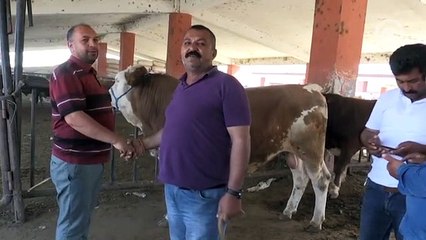 Doğu Anadolu'da kurban pazarlarında hareketlilik