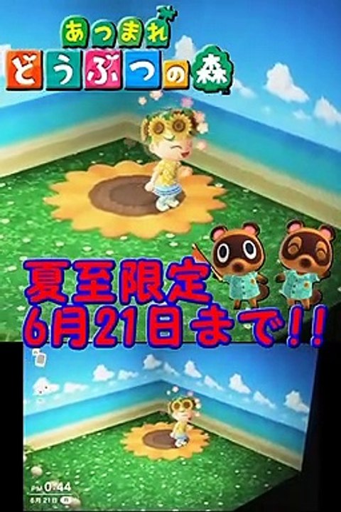 あつまれどうぶつの森　夏至　限定記念品　ひまわりのはなかんむり　ひまわりのラグ　6月15日_21日まで　 #Shorts