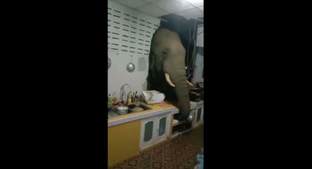 ข่าวเที่ยง (ช่วงที่ 1) วันจันทร์ที่ 21 มิถุนายน 2564