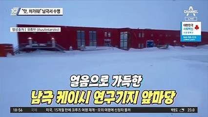 “앗, 차가워!” 남극 한복판서 수영