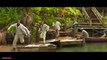 JUNGLE CRUISE Final Trailer (NEW 2021) Dwayne Johnson, Emily Blunt Disney Movie HD
