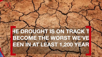 This Summer, the U.S. Could Face the Worst Drought in 1,200 Years
