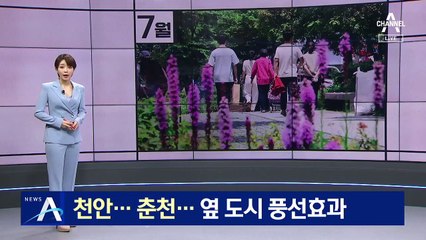 7월부터 비수도권 사적 모임 제한 풀려…옆 도시 풍선효과