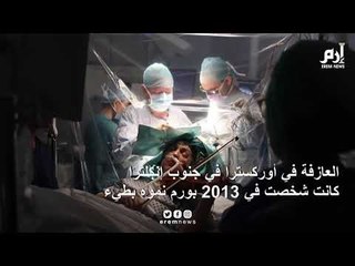 إرم نيوز | عازفة كمان تعزف خلال عملية جراحية دقيقة