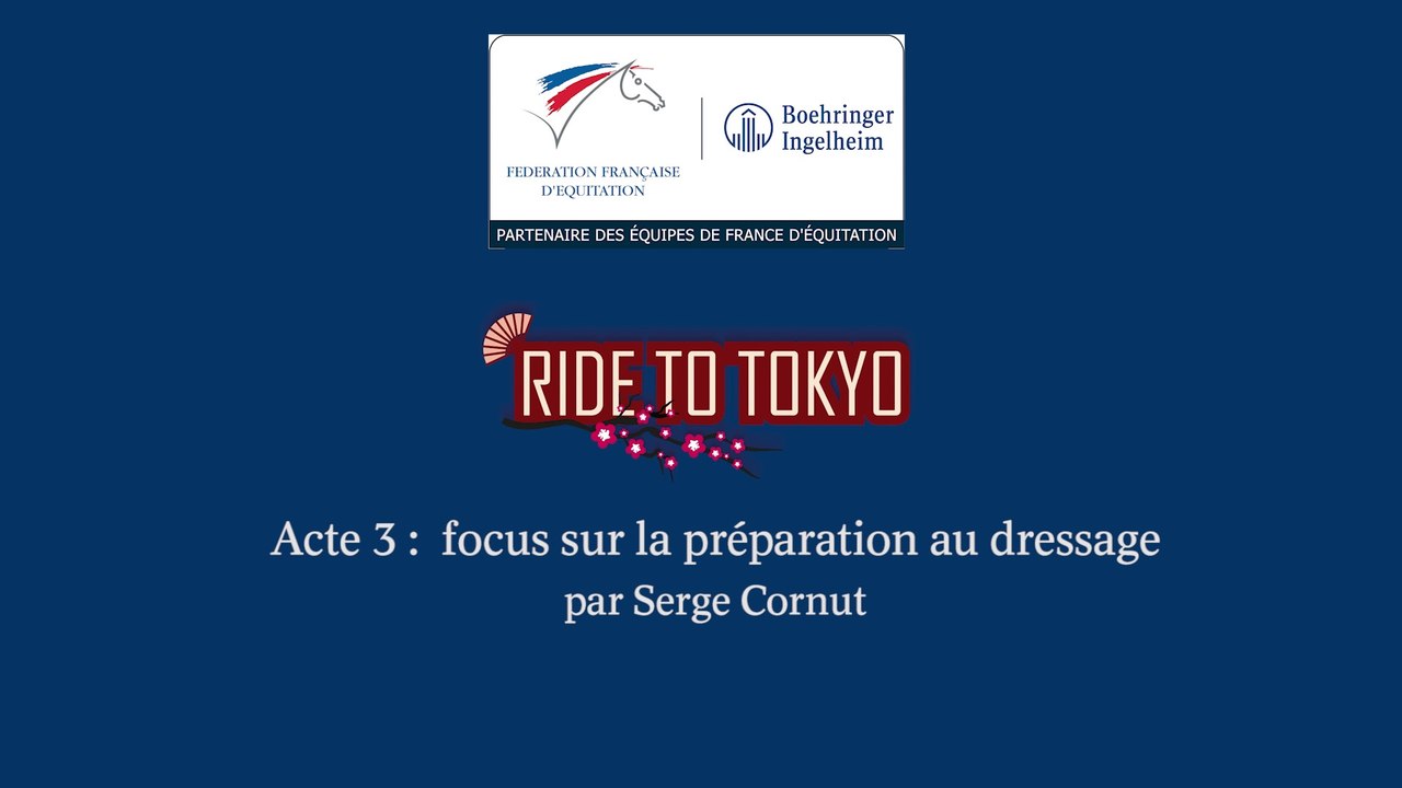 Acte 3 : focus sur la préparation au dressage par Serge Cornut