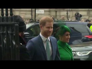 الأمير هاري وميغن يشاركان في آخر التزام ملكي لهما | #إرم_نيوز