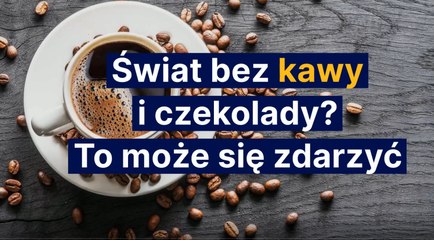 Świat bez kawy i czekolady? To może się zdarzyć