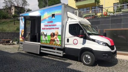 Ayıların mezarları kazmasının ardından Valilik harekete geçti