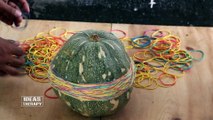 Squash Vs Rubber Bands | Latest Experiment Challenge Video | Ideas Therapy
