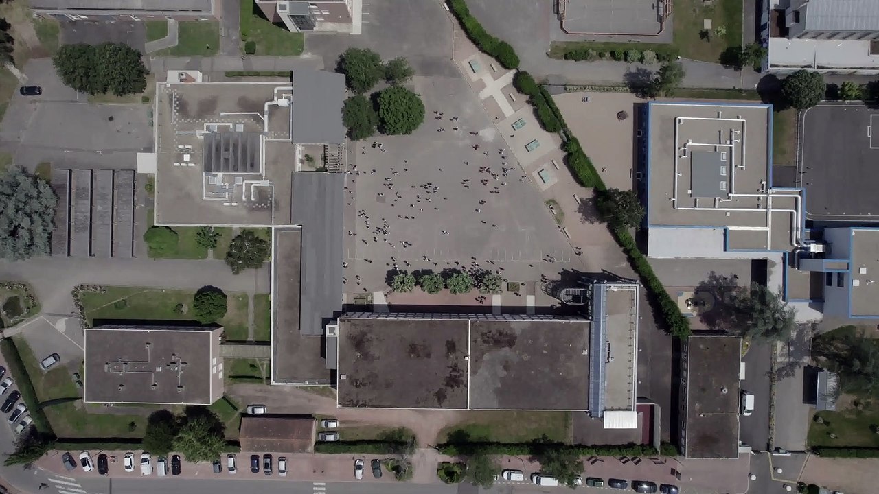 Journée du respect et de l'amitié