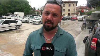 Köpeklerin telef ettiği buzağısını can çekişirken buldu