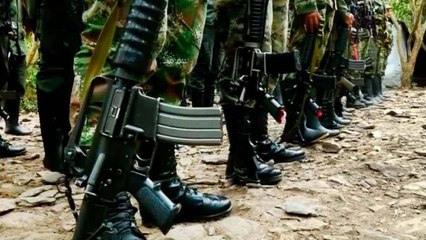 Tải video: Al menos 10 muertos deja la disputa entre disidencias de las Farc en el Huila