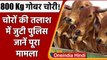 Chhattisgarh Cow Dung Stolen:  800 Kg गोबर चोरी, पुलिस ने दर्ज किया केस | वनइंडिया हिंदी