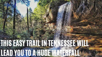 This Easy Trail in Tennessee Will Lead You To A Huge Waterfall With A Turquoise Pool