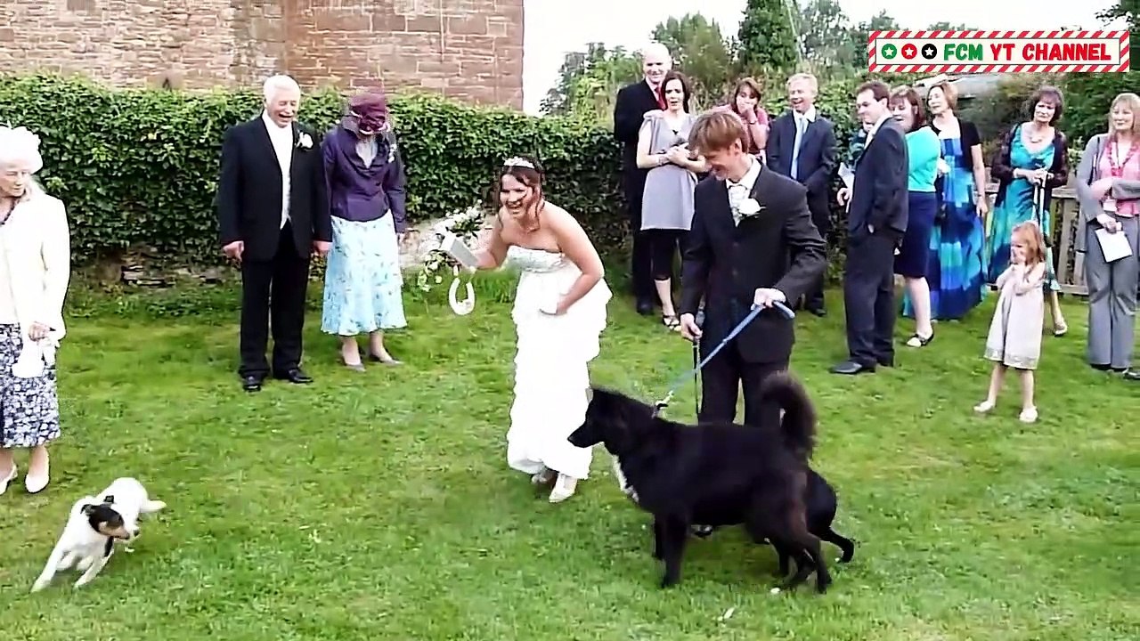 Wedding Fail oF the Week - Funny Wedding Fails Compilation 2021 - Fail Compilation Media