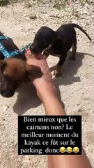 Sandra Sisley à trouver de quoi se consoler...