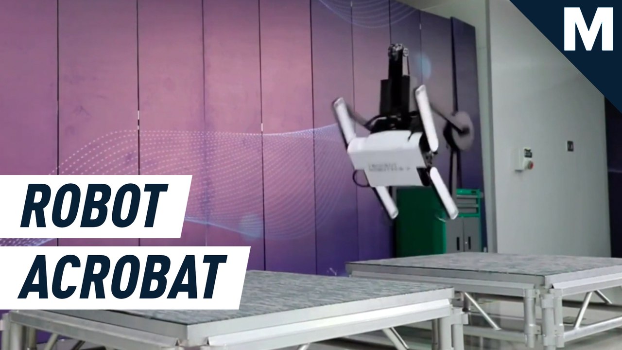 Tiny robot acrobat uses tail to do backflips