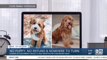 No puppy, no refund, and nowhere else to turn for help