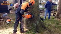 20 Minutes Of Skills Cutting Big Tree - Most Admirable Felling Tree Chainsaw Machines