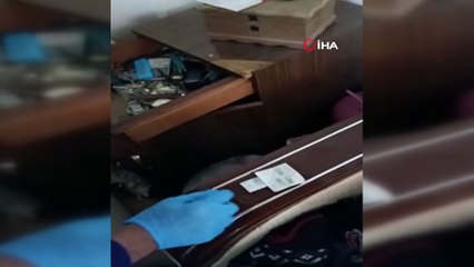 Evde saksılara dikili 46 kök kenevir ele geçirildi