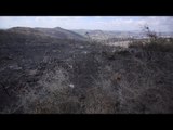 أثار الدمار الذي خلفته حرائق الغابات في سوريا| #إرم_نيوز