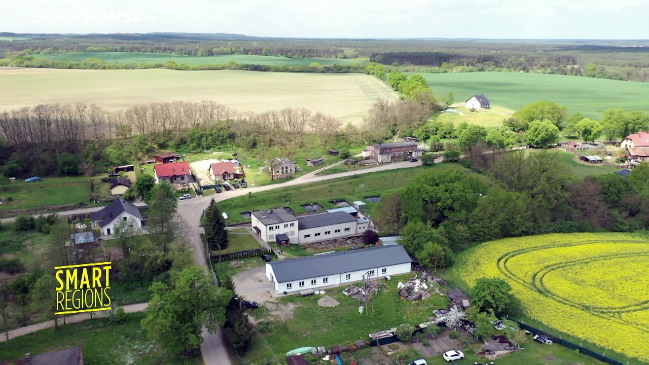 Insekten verwandeln Bioabfall in proteinreiches Tierfutter