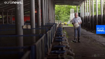 Diversificare la produzione di proteine per abbassare l'impronta di carbonio