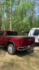 Camping Trip Cut Short by Invasive Gypsy Moths