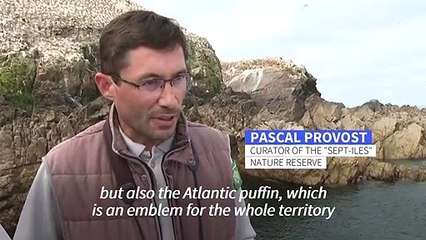 Island sanctuary extension riles locals in western France