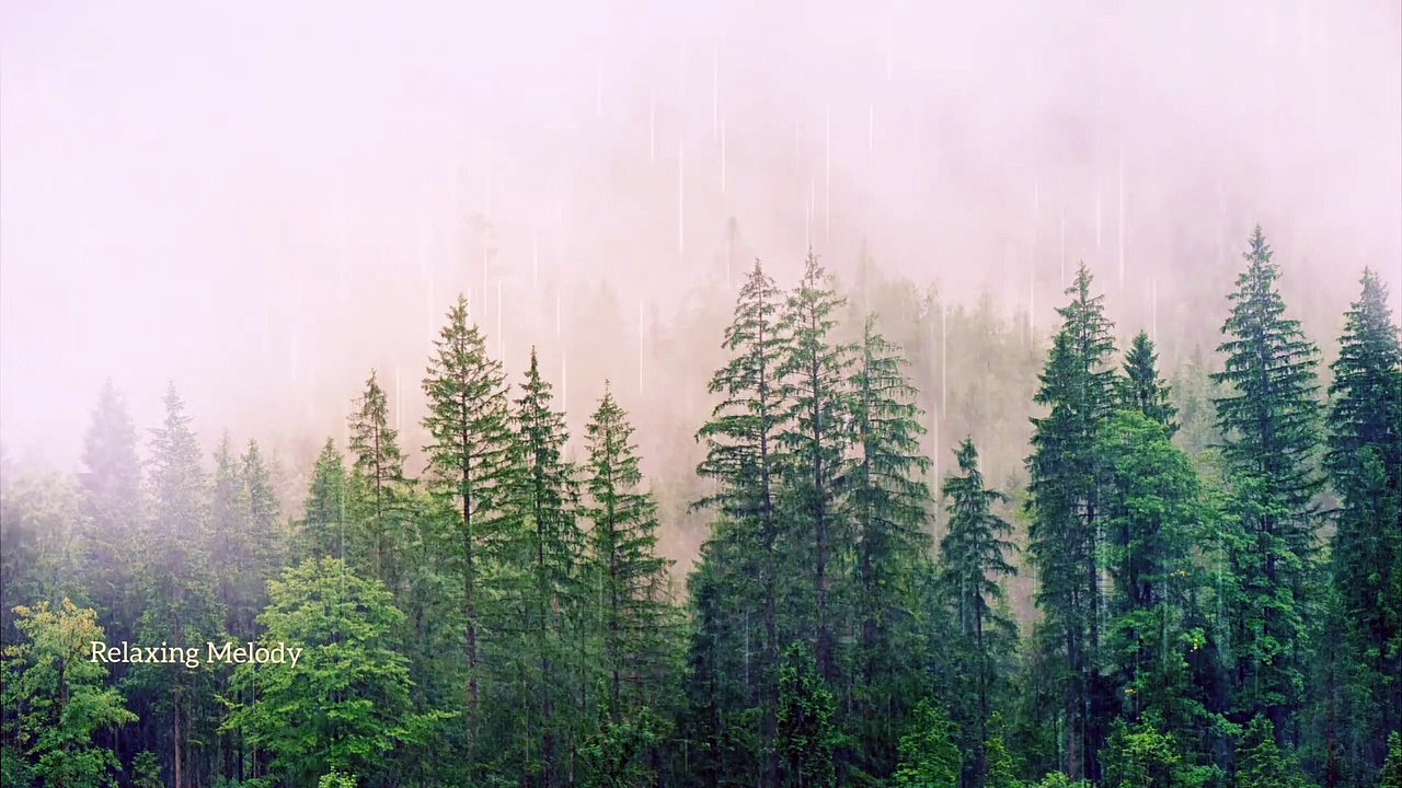 Mountain Rain and Nature Birds Sound, Relaxing Music, Meditation