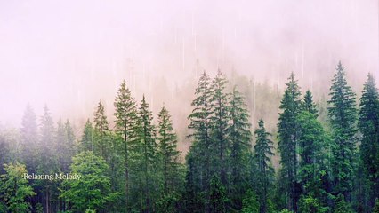 Mountain Rain and Nature Birds Sound, Relaxing Music, Meditation
