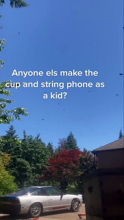 Beehive Dialect Heard Through Telephone Device