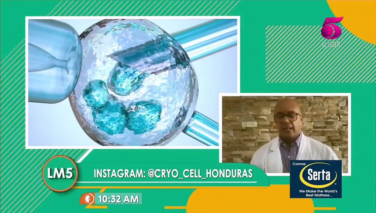 LM5: Qué  son las células madres y cuál es su beneficio