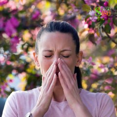 Trucos efectivos para eliminar los pelos de mascota de tu ropa. | Salud180