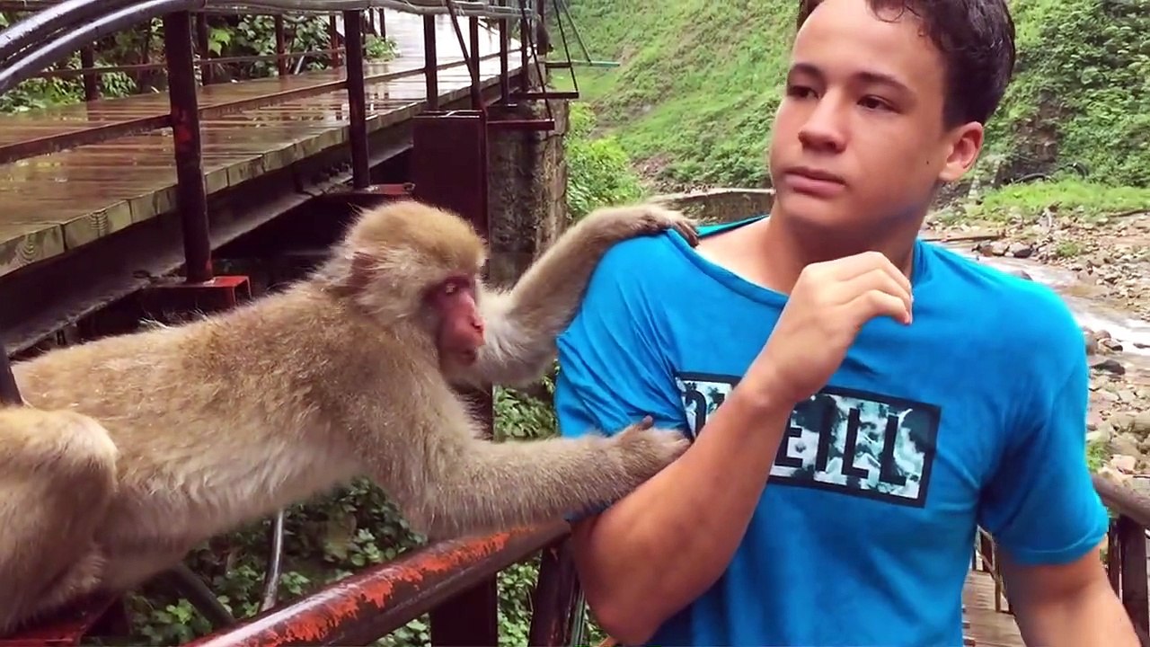 Funny Video WhatsappFunny Video StatusShort Comedy Videos 30 Seconds#Shorts|Don'T Click On Title