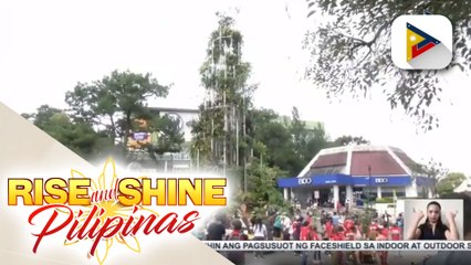 Tree of Life, itinayo sa Upper Session Road ng Baguio City