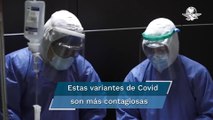 Detectan dos nuevas cepas de Covid-19 en Yucatán