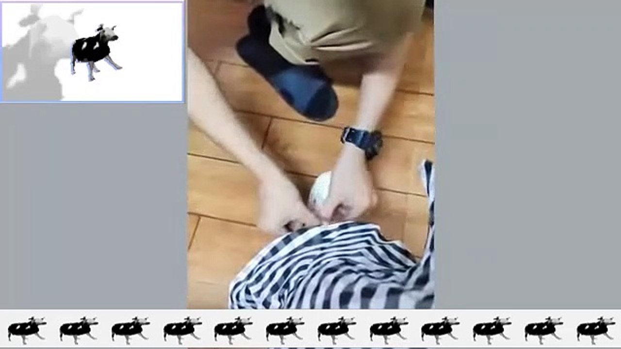 TRY NOT TO LAUGH | MEME EDITION V 1