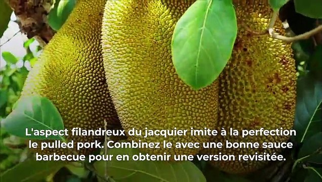 Comment adapter vos plats favoris sans viande ?