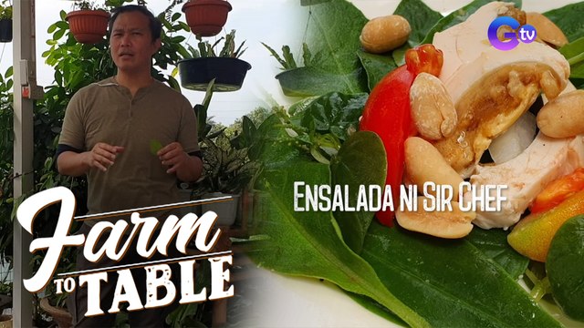 Farm To Table: Chef Mark Navarro transforms garden plants into a fresh salad!