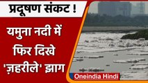 Delhi : Yamuna का पानी ज़हरीला, नदी पर तैरता दिखा सफेद जहरीला झाग | वनइंडिया हिंदी