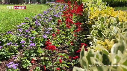 Trabzon Botanik Parkı 500 türde 20 bin bitkiye ev sahipliği yapıyor