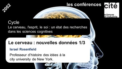 Le cerveau : nouvelles données 1/3
