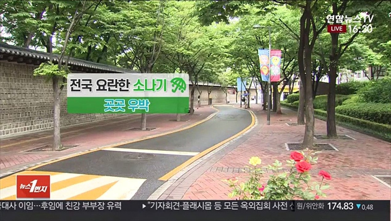 [날씨] 내일까지 요란한 소나기…내륙 우박