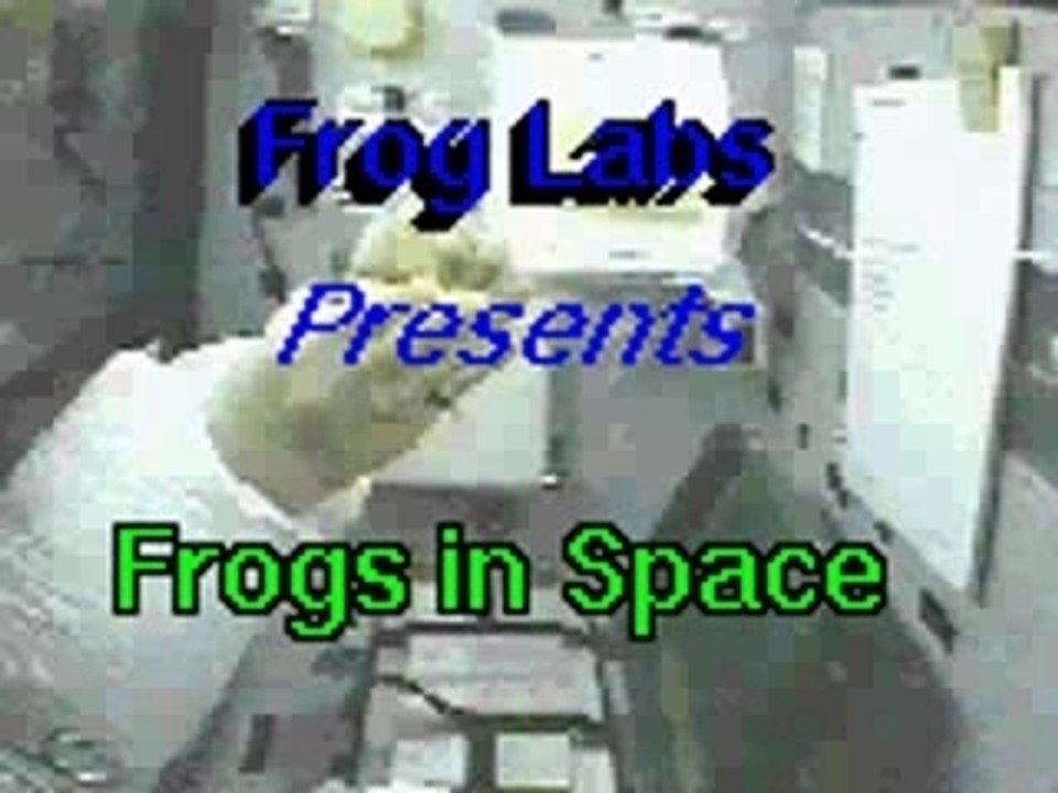 Une grenouille dans l'espace