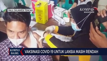 Vaksinasi Covid-19 Untuk Lansia Masih Rendah Di Palu