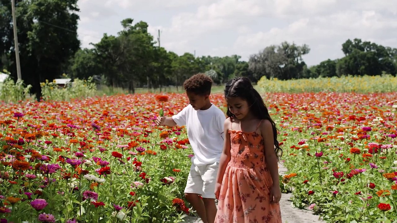 Milo & Hazel - Forever (Official Music Video)❤️❤️